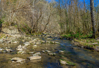 Kupfer river in Hohenlohe