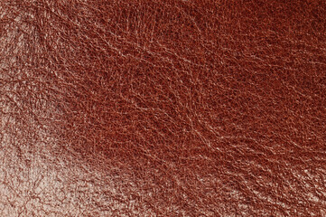 Fototapeta premium Creased brown color leather background