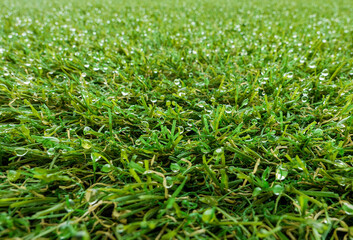 green background with rainy drops