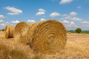 Landschaft mit Stoppelfeld, Wolkenhimmel, Pfalz