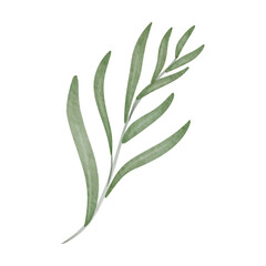 Fototapeta premium Leaves Watercolor, Aesthetic Handdrawn Leaf