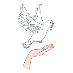 Peace dove with olive branch in the beak flying on bright blue background and hands down