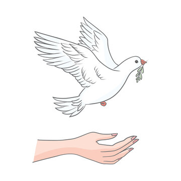Peace dove with olive branch in the beak flying on bright blue background and hands down