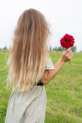 Naklejka premium Young blond long haired woman with red abloom dahlia flower in hand stand on road with green grass. Concept of elegance and love. Vertical format