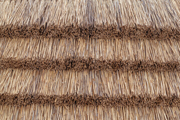 Straw background, dry grass texture. Selective focus. High quality photo