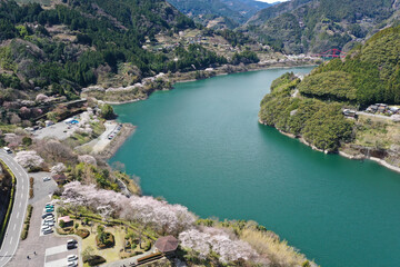 Obraz premium 高知県仁淀川町 春の大渡ダム