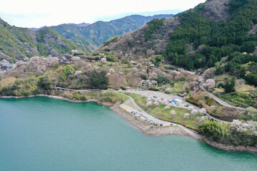 高知県仁淀川町　春の大渡ダム