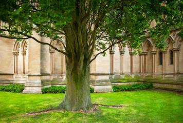 An architectural design in Cambridge