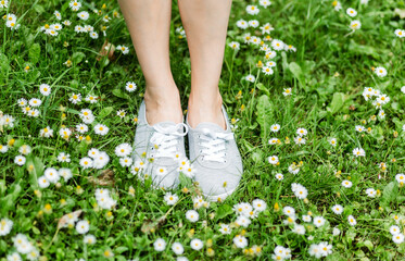 Gray sports lace up sneakers shoes on green meadow with grass and camomiles (daisies).