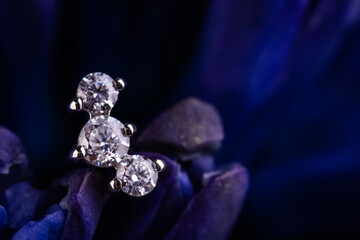 Beautiful piercing jewelry. Macro shot. Selective focus.