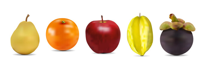 Collection of photo-realistic vector fruits. isolated background on white color.