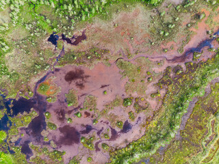 Aerial view on natural swamp from above, wild nature background - Karelia region, Russia