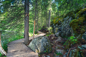 Wooden flooring leading to a nature reserve