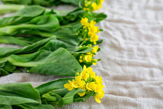 チンゲン菜 Images Browse 1 030 Stock Photos Vectors And Video Adobe Stock