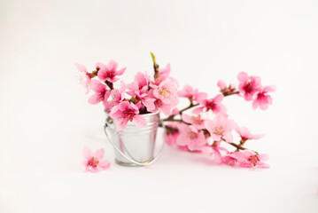 Obraz na płótnie Canvas Peach pink flowers in a vase on a white background Spring flowers isolated on white 