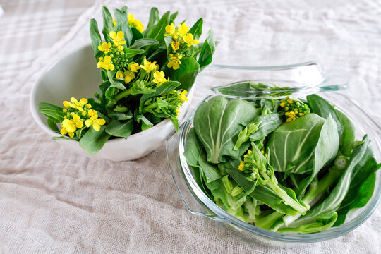 チンゲン菜 Images Browse 1 030 Stock Photos Vectors And Video Adobe Stock