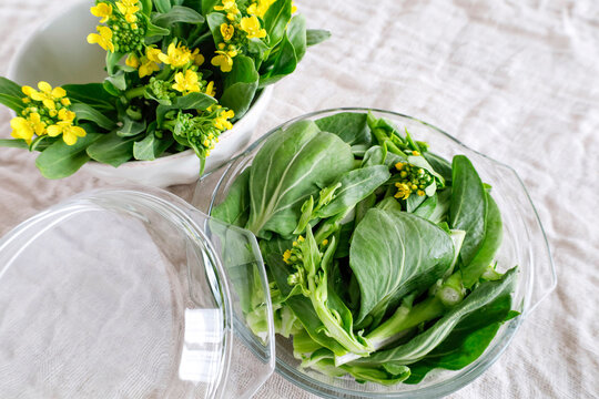 チンゲン菜 Images Browse 1 011 Stock Photos Vectors And Video Adobe Stock