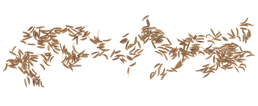 Dried cumin seeds isolated on a white background, top view. Caraway seeds.