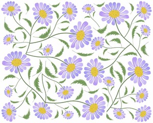 Symbol of Love, Background of Bright and Beautiful Purple Daisy or Gerbera Flowers.
