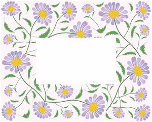 Symbol of Love, Frame of Bright and Beautiful Purple Daisy or Gerbera Flowers.
