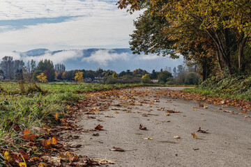 Country road on a fall day 