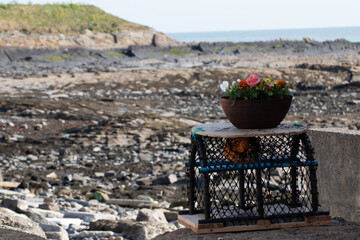 Close and selective focus on a crab pot decoration, lobster pot or fish trap on loughshinny beach coast on the Ireland coast. Europe