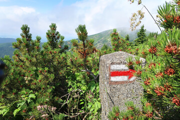 Colorful signs for hiking tourism in the Czech Republic. Marks painted on the stone bollard. Beautiful mountains in the background. National Park Krakonose (Giant Mountains).