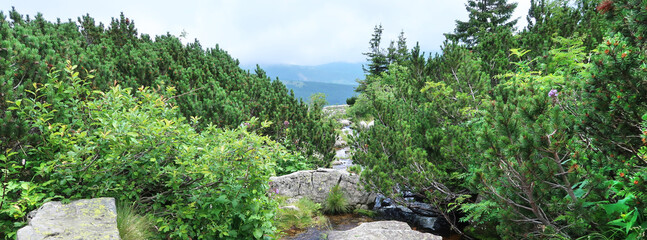 Pancavske Vodopady (Pancava Waterfalls) on the river Labe - Elbe - in Krkonose, Giant Mountains, Czech Republic, Bohemian Region.