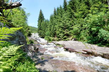 Bile Labe (White Elbe) in Giant Mountains (Krkonose) in the middle of the summer, Czech Republic, Bohemian Region