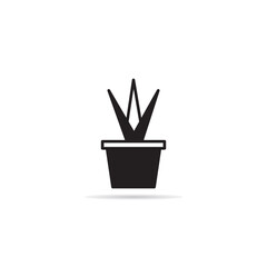 house plant icon vector illustration