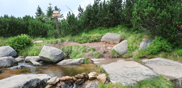 Pancavske Vodopady (Pancava Waterfalls) on the river Labe - Elbe - in Krkonose, Giant Mountains, Czech Republic, Bohemian Region.