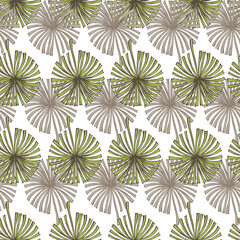 Fan palm leaves seamless pattern on. Vintage tropical foliage in engraving style.