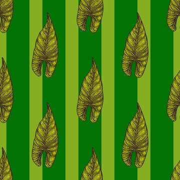Engraving leaf araceae seamless pattern. Vintage leaves background.