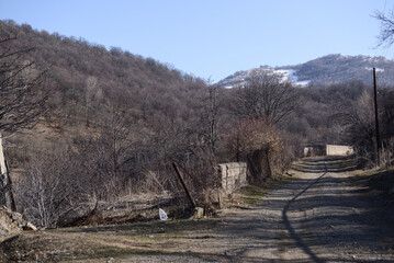Mountain landscape with dry trees and grass