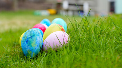 Fototapeta premium Multicolored Easter eggs ready for egg hunt