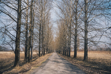 empty road