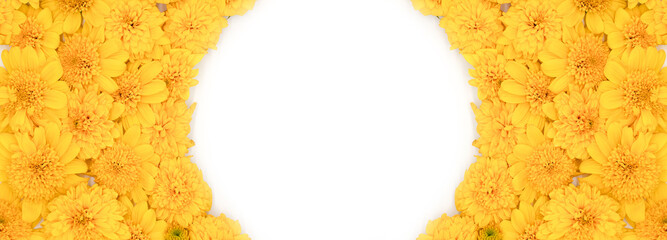 Frame of yellow flowers, for holiday card, on white background, flat lay, top view