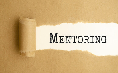 On a bright blue background, white paper with a torn stripe and the text MENTORING