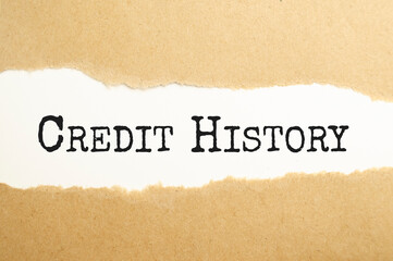 Fototapeta na wymiar Credit History. text on notepad near torn paper