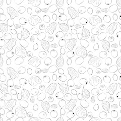 Kiwi isolated on white background with clipping path. A set of seamless patterns with kiwi. Vector graphics, 1000x1000.