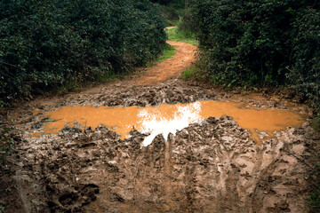 El charco y el barro debidos a las últimas lluvias impiden el paso por el sendero del bosque