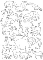 Animal clorng pages for kids line art printable design 