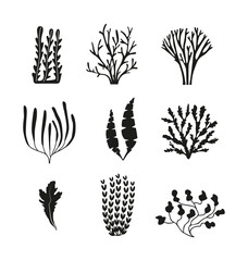 A set of marine icons, including various algae, seaweed, corals, twigs, natural elements