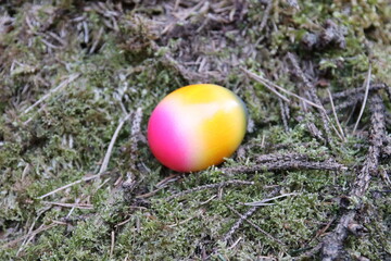Eier suchen im Wald 
