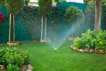 Automatic sprinkler watering in the garden - obrazy, fototapety, plakaty