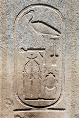 Cartouche containing the birth name of Pharaoh Thutmosis III,  Temple of Karnak, Luxor Egypt
