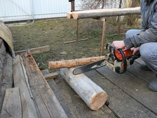sawing off a piece of a dry log with an old chainsaw in an orange case in a village yard, a woodworking workshop in the open space of a rural yard, sawing a niche in the structure of a log - obrazy, fototapety, plakaty
