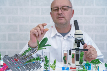 Male Microbiologist looking at a  green plant  . Medical scientist working in a modern food science laboratory with Advanced Technology. Scientist examine plants - 496687175