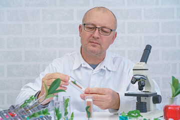 Male Microbiologist looking at a  green plant  . Medical scientist working in a modern food science laboratory with Advanced Technology. Scientist examine plants