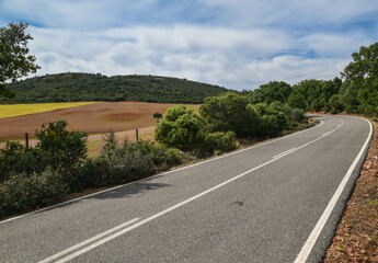 road to the far mountain